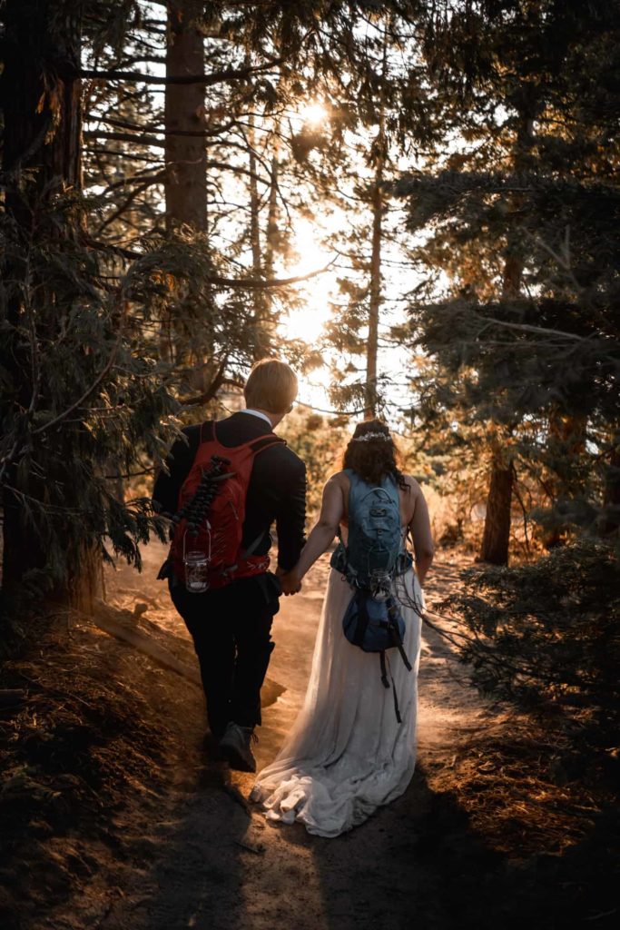Amazing elopement photo of Bride and Groom traveling the forest together holding hands