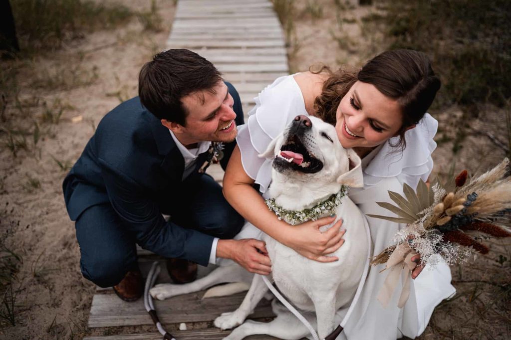 Photo of Bride and Groom hugging a cute dog on a wooden pathway