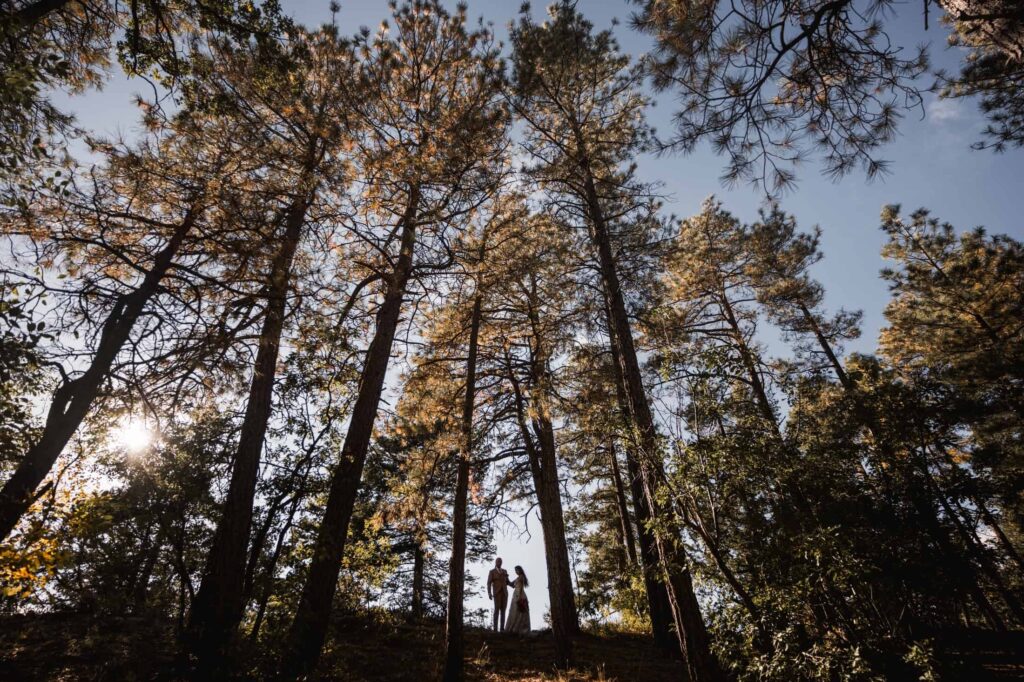 A bride and groom stand small and intimate among the towering pines of Flagstaffs Arizona, the sun casting a soft light through the trees, highlighting the natural grandeur of the forest around them, encapsulating the couple's unity with nature on their special day.