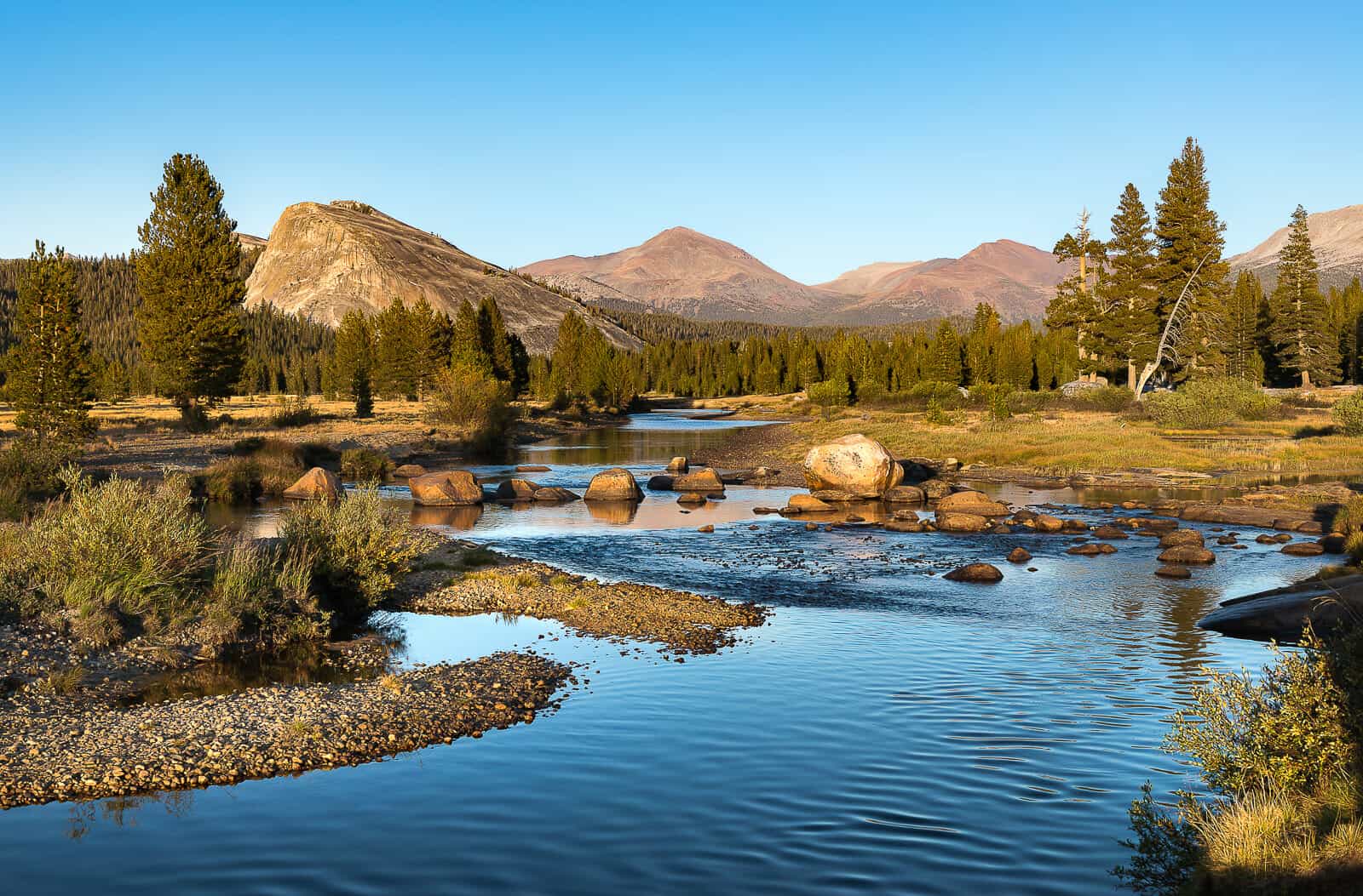 Tranquil scene at Tuolumne Meadows in Yosemite National Park with the serene Tuolumne River flowing through, dotted with rocks and surrounded by lush meadows and forested peaks under a clear blue sky